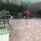 Garden Paving